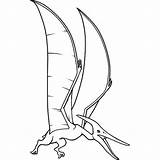 Pteranodon Coloring Drawing Pages Getcolorings Printable Screaming Getdrawings sketch template