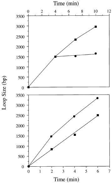 kinetics  loop formation phosphate buffered reactions   linear  scientific