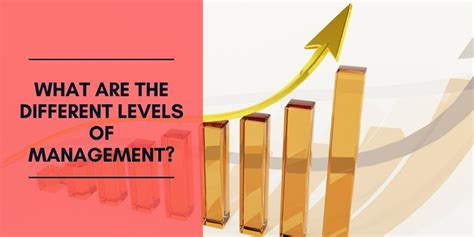 levels  management business management