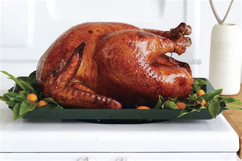 cider brined turkey with star anise and cinnamon recipe