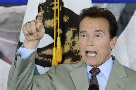 Gov Arnold Schwarzenegger Among Those Calling For Same