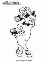 Poodle Pages Coloring Colouring Printable Dog Pink Color Standard Print Silhouette Drawing Template Animal Camaro Crafts Poodles Hop Sock Para sketch template