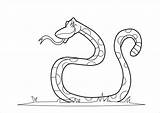 Snake Schlange Ular Binatang Mewarnai Kaa Coloringbay Mogli Edukasi Malvorlagen sketch template