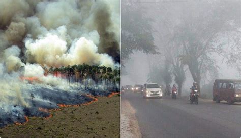 Darurat Asap Kebakaran Melanda Indonesia Di Sejumlah
