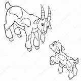 Goat Pages Coloring Animals His Father Farm Looks Goatling Stock Illustration Baby Depositphotos Mayka Ya Getdrawings Drawing sketch template