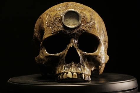meet the artist selling human skulls online vocativ