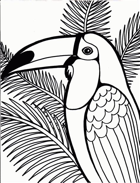 rainforest coloring pages fresh coloring pages