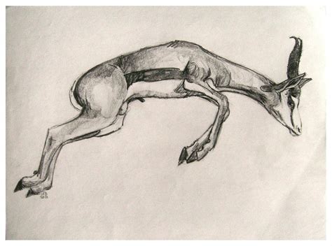 jumping gazelle drawing
