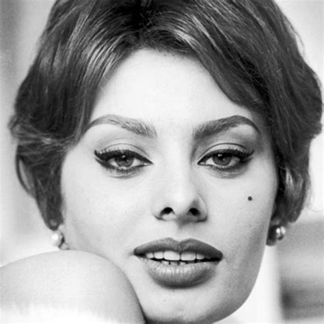 Sophia Loren Television Actress Film Actor Film Actress