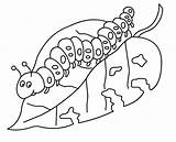 Hungry Caterpillar Very Coloring Pages Printables Getcolorings Cate sketch template