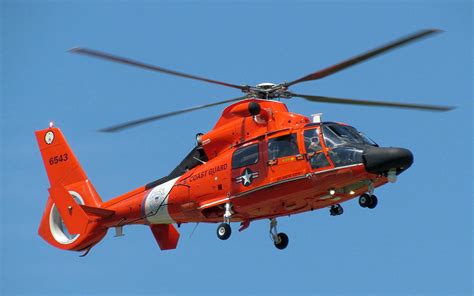 wallpaper hh  dolphin  coast guard helicopter wallpapers