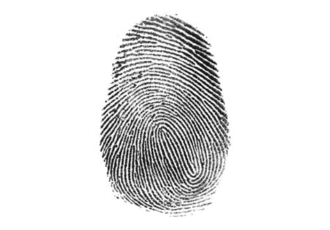 fingerprints   york times