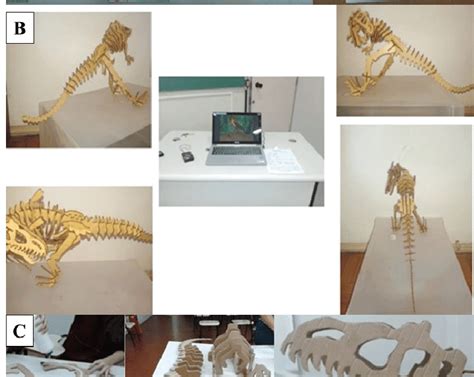 dinosour bones  fosiles  autocad  cad    kb