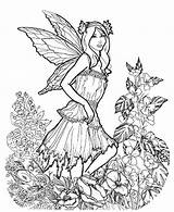 Coloring Pages Fairy Adults Adult Celtic Detailed Printable Intricate Colouring Fall Fairies Faerie Sheets Getcolorings Kids Very Popular Print Book sketch template