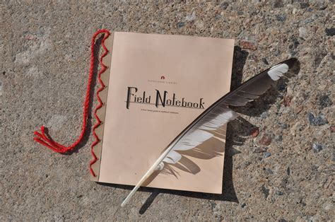 field notebook crowintherain