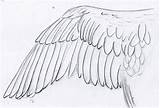 Wing Draw Bird Sketch Feathers Tuts Doodles Weekly Counting Myself Point Even Found Some sketch template