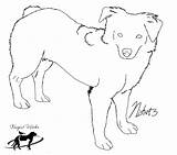 Shepherd Australian Mini Coloring Pages Dog Template Deviantart Sketch sketch template