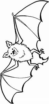 Coloring Bat Pages Bats Coloringpages1001 Gif sketch template