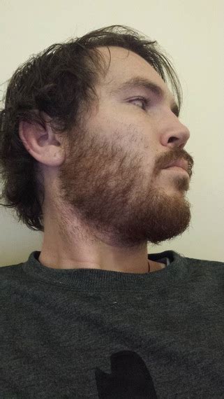 My Journey With A Scruffy Ginger Beard Beard Board