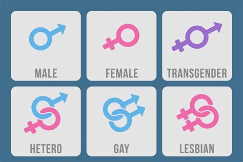 sexual orientation vector icons pre designed illustrator graphics
