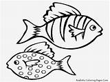 Ausdrucken Fische Fisch Malvorlagen sketch template