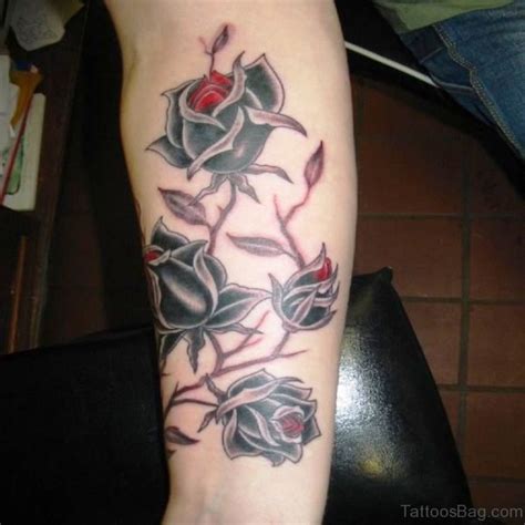 fabulous vine tattoo  arm