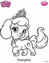 Coloring Pages Haven Whisker Getdrawings sketch template