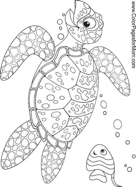 printable ocean coloring pages everfreecoloringcom pin