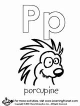 Coloring Porcupine Letters Letter Pages Color Print Allkidsnetwork Activities Animals Large Gif Printable Visit sketch template