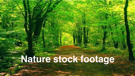 beautiful nature making video  stock footage  pixabay