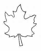 Leaf Outline Fall Template Kids Outlines Clipart Pattern Designs Craft sketch template