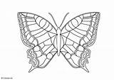 Butterfly Coloring Pages Morpho Blue Color Printable Butter Getcolorings sketch template