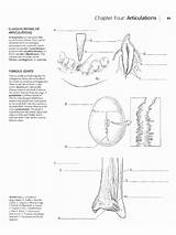  sketch template