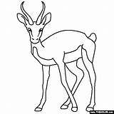 Coloring Gazelle sketch template