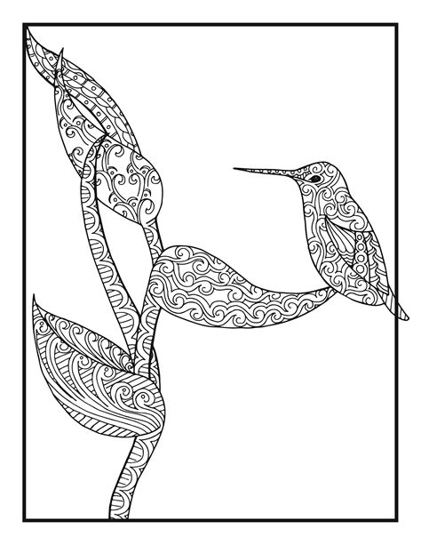 hummingbird coloring pages finished printable coloring pages
