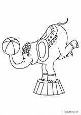 Circus Coloring Pages Kids Elephant Printable sketch template
