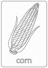 Maize Coloringoo sketch template
