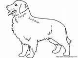 Retriever Golden Coloring Pages Drawing Labradoodle Line Color Printable Print Dogs sketch template