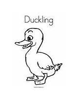Duckling Quack Ducks Twisty Ente Druckbare Lektira Twistynoodle sketch template
