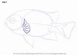 Damselfish Gill Fishes sketch template