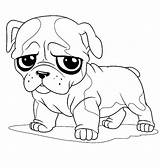 Bulldog Coloring Pages Cute French Drawing Little Pug Face American English Color Line Printable Bulldogs Sad Getcolorings Bowl Inside Happy sketch template