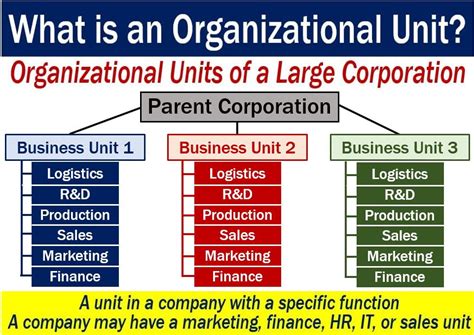 organizational unit definition  meaning market business news