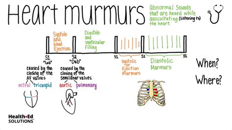 heart murmurs overview heart murmur series youtube