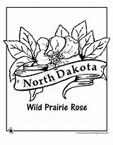 Flower Dakota Coloring North State South Pages America Drawing Map Getdrawings Books Flowers Usa Classroomjr sketch template