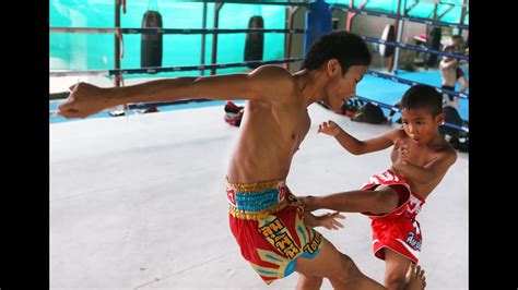 tiger muay thai fight team youtube
