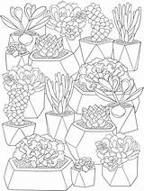 Succulents Suculentas Kaktus Succulent Erwachsene Plants Craftgossip Dover Mandalas Book Trendy sketch template