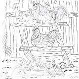 Coloring Pages Country Book Farm Printable Living Chicken Life Chickens Roosting Books Template Roost Colouring Claire Vintage Choose Board sketch template