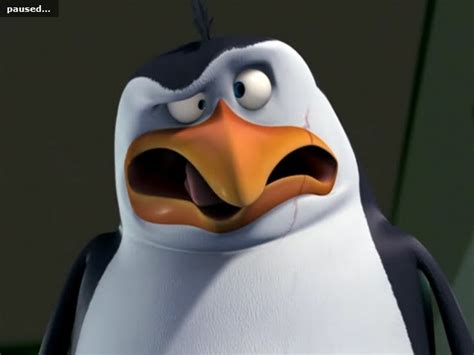 Penguins Of Madagascar Meme Face