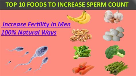 10 indian foods to increase sperm count in natural ways male