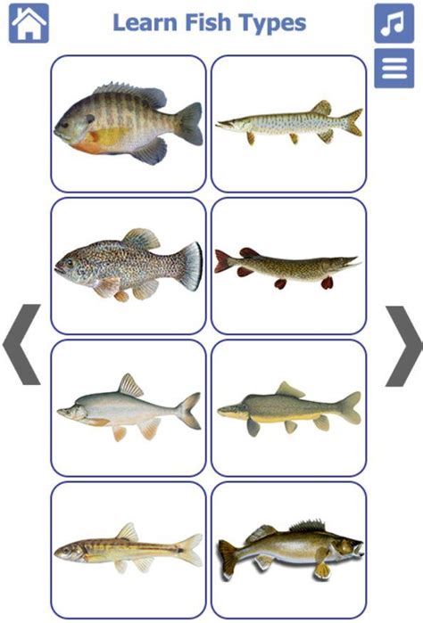 fish types apk  android